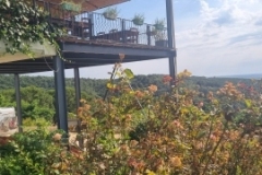 Albanica Winery