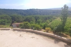 Albanica Winery