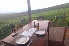 Albanica Winery