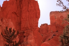 Bryce-1.10
