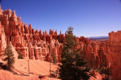 Bryce-1.11