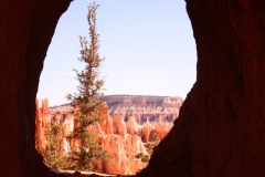 Bryce-1.12