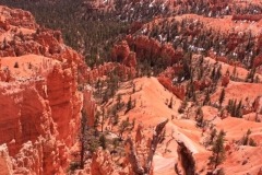 Bryce-1.5