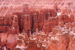 Bryce-1.6