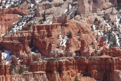 Bryce-1.7