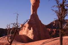 Bryce-1.8