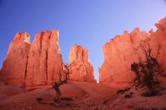 Bryce-1.9