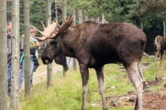 Algpark-02