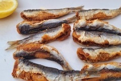 Sardinen