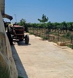 Weingut-Koukos