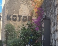 Kotor