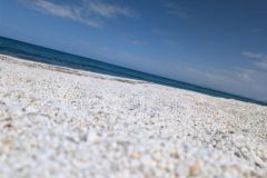 La-Spiaggia-Pazzona