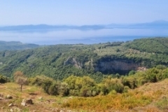 Kala Nera