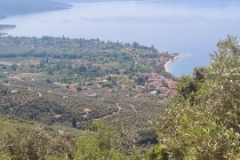 Kala Nera
